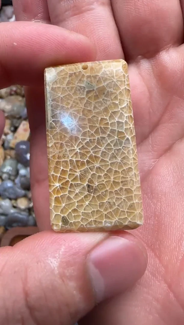 【闪购商品】硅化珊瑚（珊瑚玉）颈饰未镶嵌237