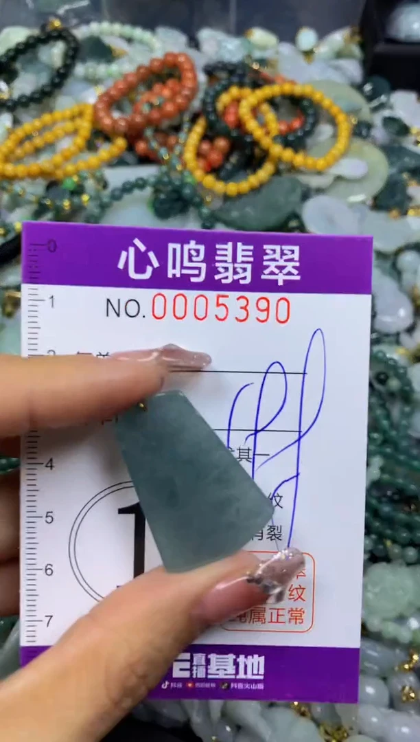 【闪购商品】翡翠颈饰未镶嵌闪购005390