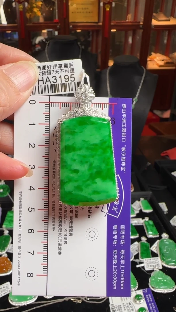 颈饰18K金镶嵌翡翠HA3195辣绿无事牌