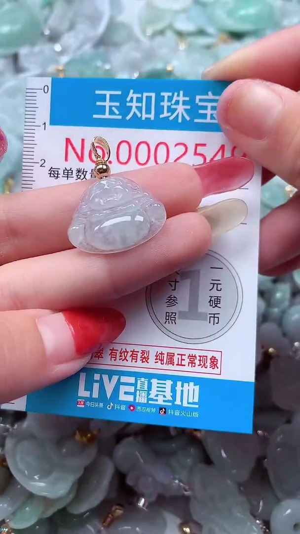 吊坠(不含链)未镶嵌翡翠2549