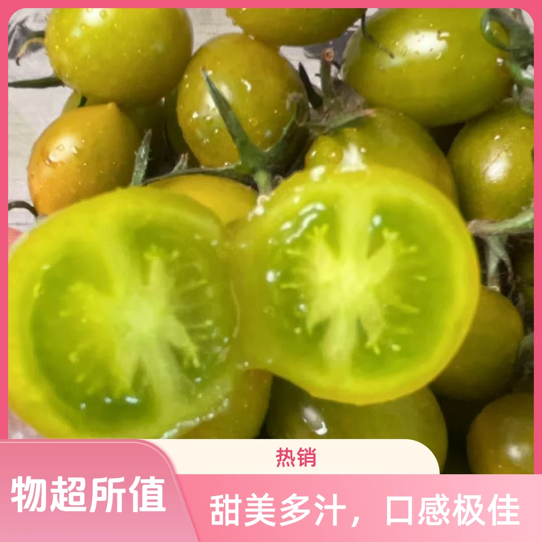【顺丰包邮】现摘青甜小番茄 香甜爆汁圣女果 儿童水果小番茄