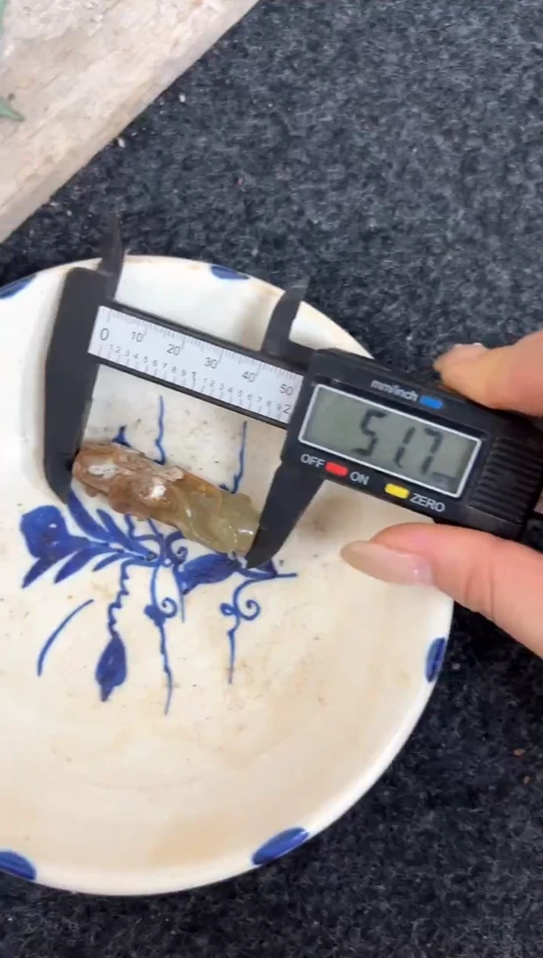 瓷片瓷器，瓷片，陶瓷1