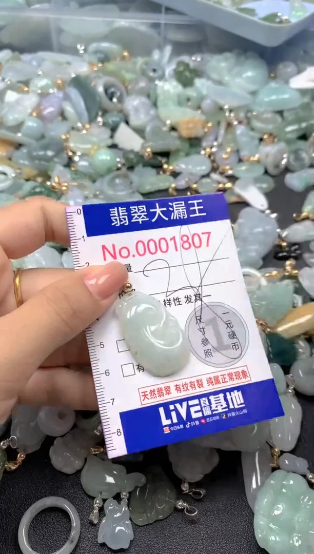 颈饰未镶嵌翡翠1807