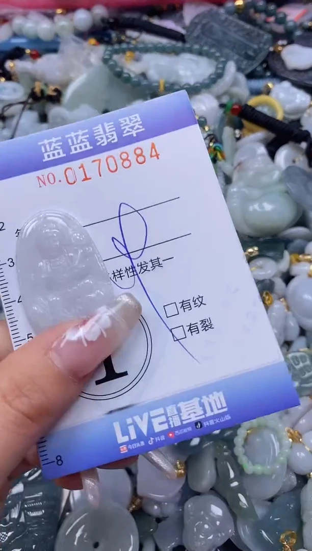 【闪购商品】翡翠颈饰未镶嵌闪购0170884