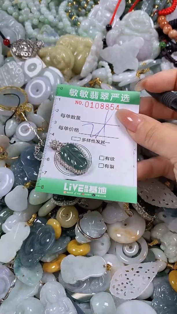 【闪购商品】翡翠颈饰未镶嵌闪购0108854