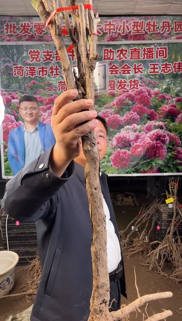 闪购链接  皇冠54