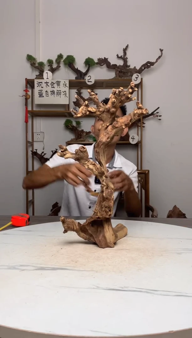 鑫**计鱼缸造景沉木摆件