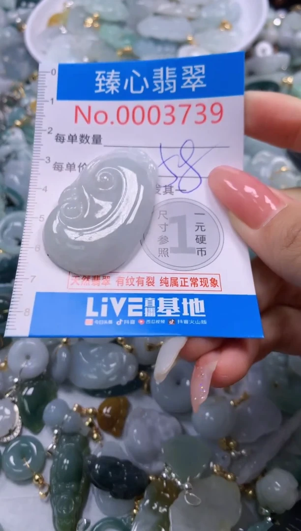 翡翠未镶嵌颈饰3739