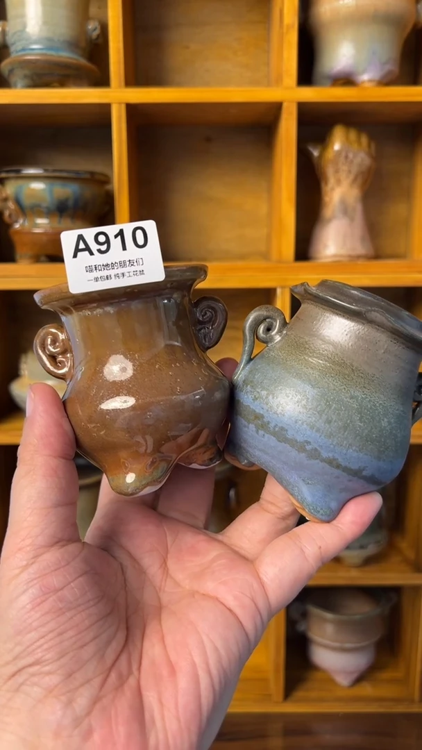 Z*910【多肉花盆多肉盆】