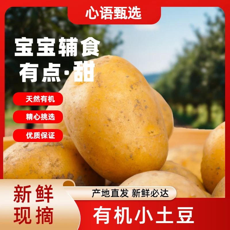 【心语甄选】宝宝辅食微甜小土豆有机认证好吃软糯不噎新鲜山东发货