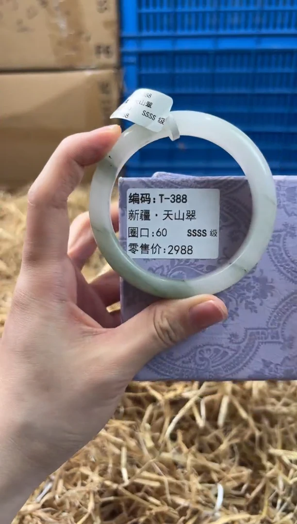 未镶嵌手镯石英质玉T-388