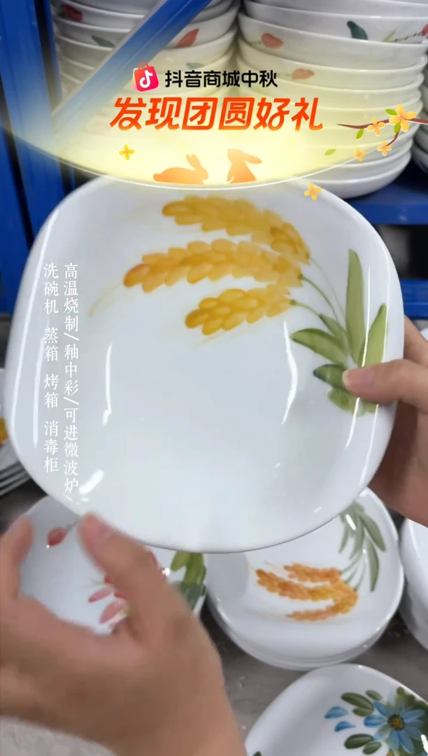 瓷片景德镇手绘釉中彩（食品级）卷边盘