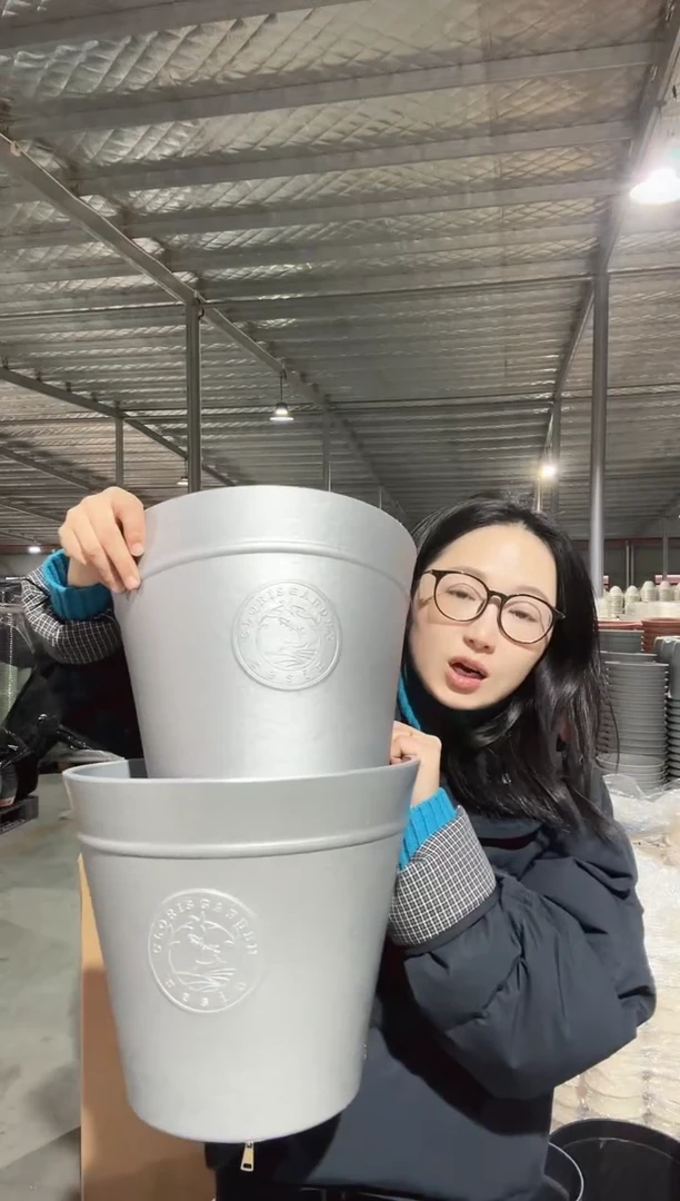 【闪购商品】塑料12寸克里欧斜口盆泡泡银2只装