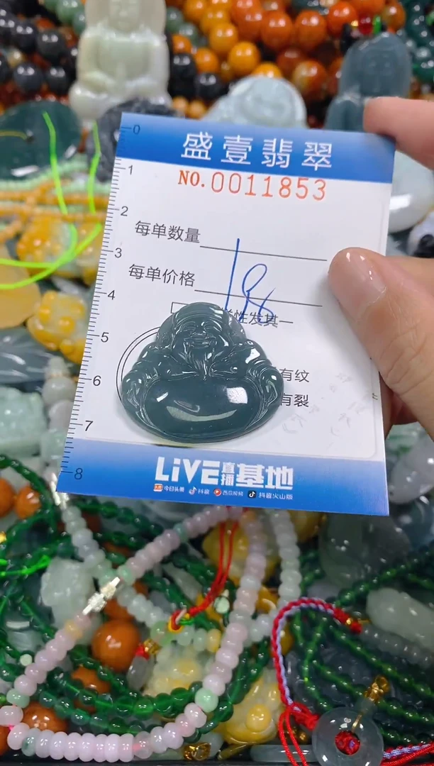 颈饰未镶嵌翡翠闪购0011853