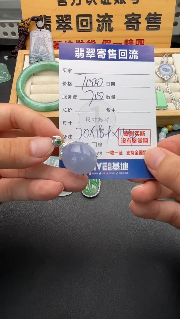 颈饰18K金镶嵌翡翠10146747