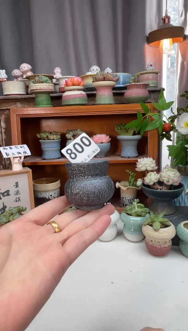 瓷片799知木小芳花盆知