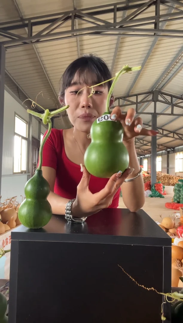 009天然葫芦摆件 一物一拍龙头不保售后花叶