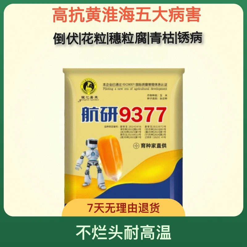 免疫青枯和锈病，耐高温热害，高抗倒伏高抗穂腐高抗粒腐，耐涝性强