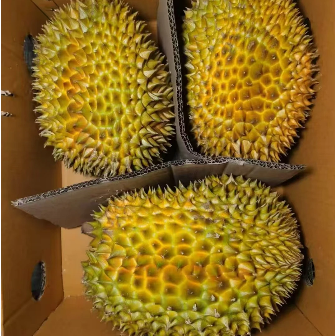 【顺丰明天到】泰国树熟金枕榴莲整箱价带箱20斤核小带壳新鲜树上熟榴莲同城配金枕泰国东部