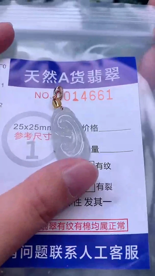 吊坠(赠链)未镶嵌翡翠1