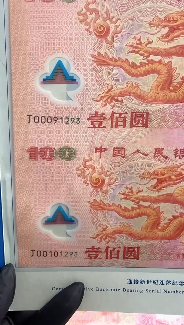 塑料大龙两联体啊啊啊啊