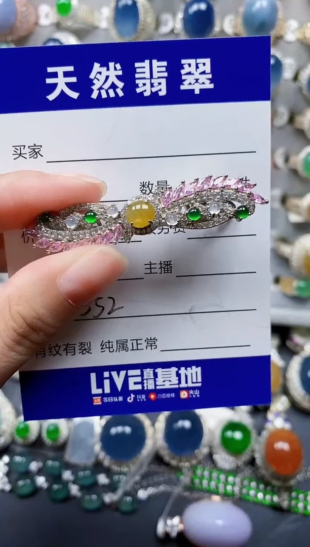 翡翠银S925镶嵌颈饰552