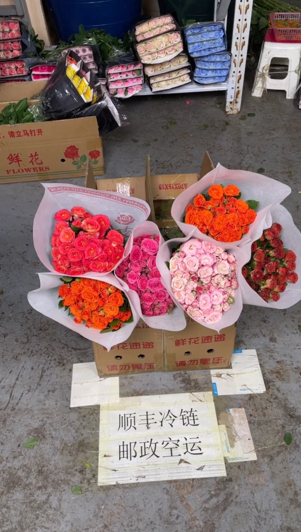 多头玫瑰3扎（任意3品种）