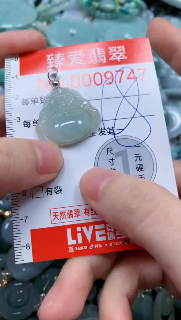 翡翠未镶嵌吊坠(不含链)9747