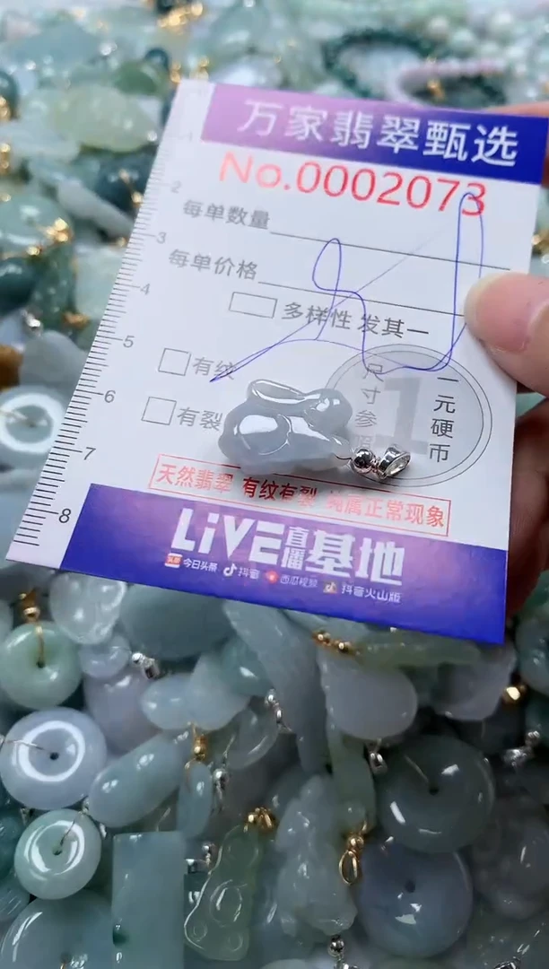 翡翠未镶嵌吊坠(不含链)2073多样性发其一