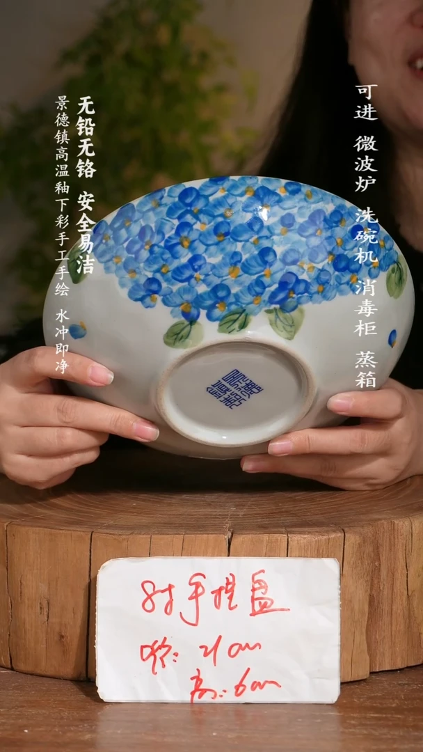 碗陶瓷景德镇高温瓷釉下彩手绘陶瓷