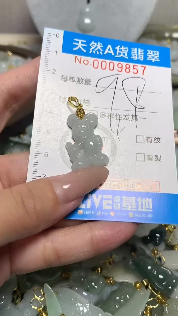 翡翠未镶嵌颈饰净货挂件-9857