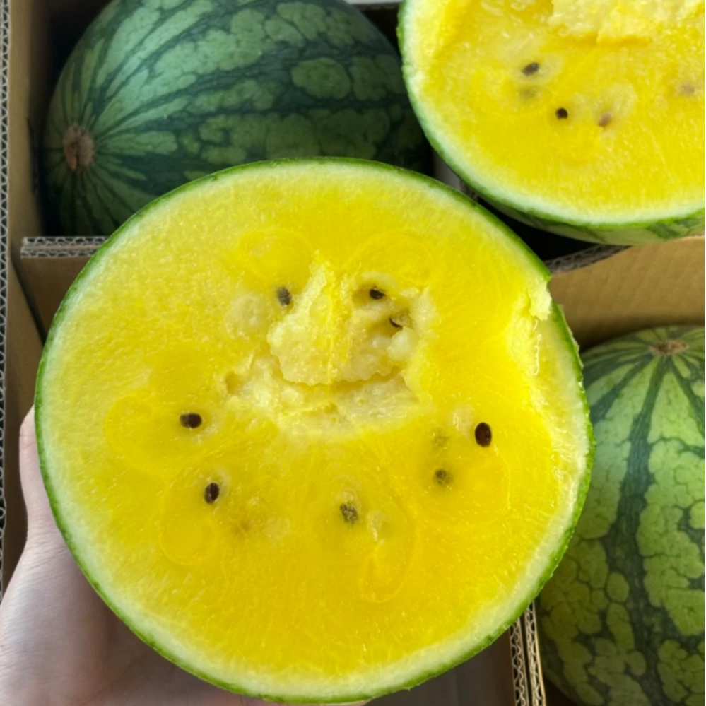 特小凤冰激凌黄心头茬西瓜新鲜皮薄肉厚汁足京东送到家广东省
