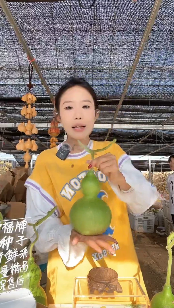 072天然葫芦摆件 一物一拍龙头不保售后