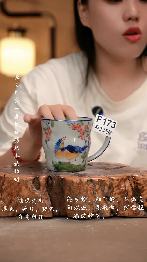 其他F173 新十二器