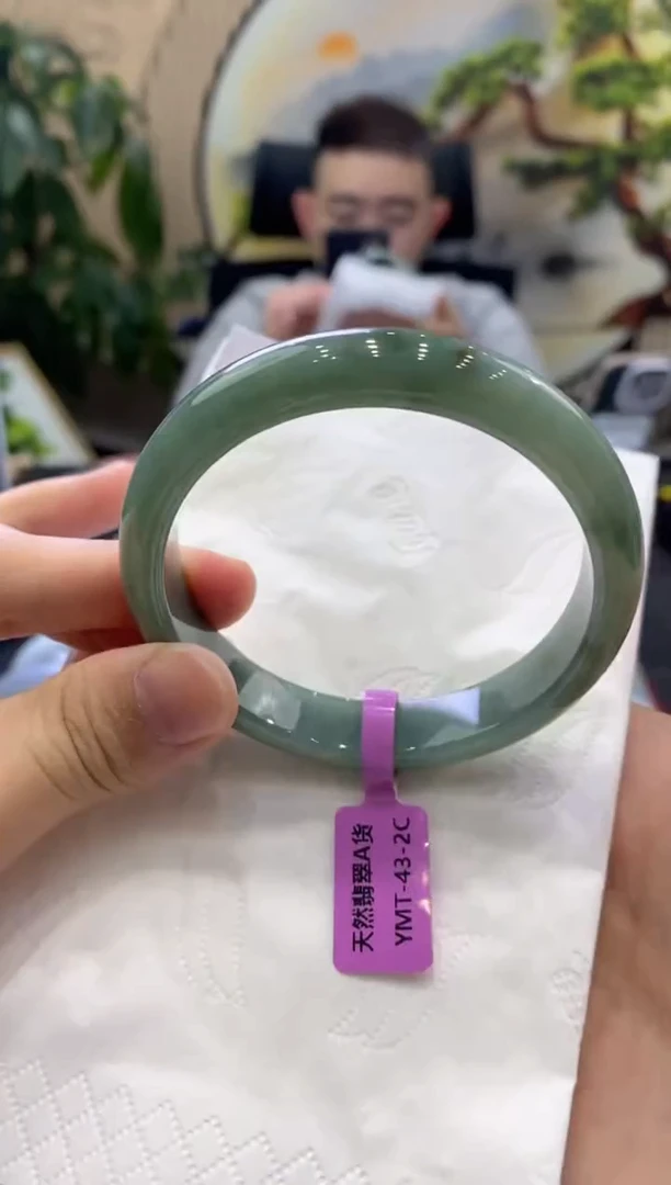 翡翠手镯未镶嵌0000008411