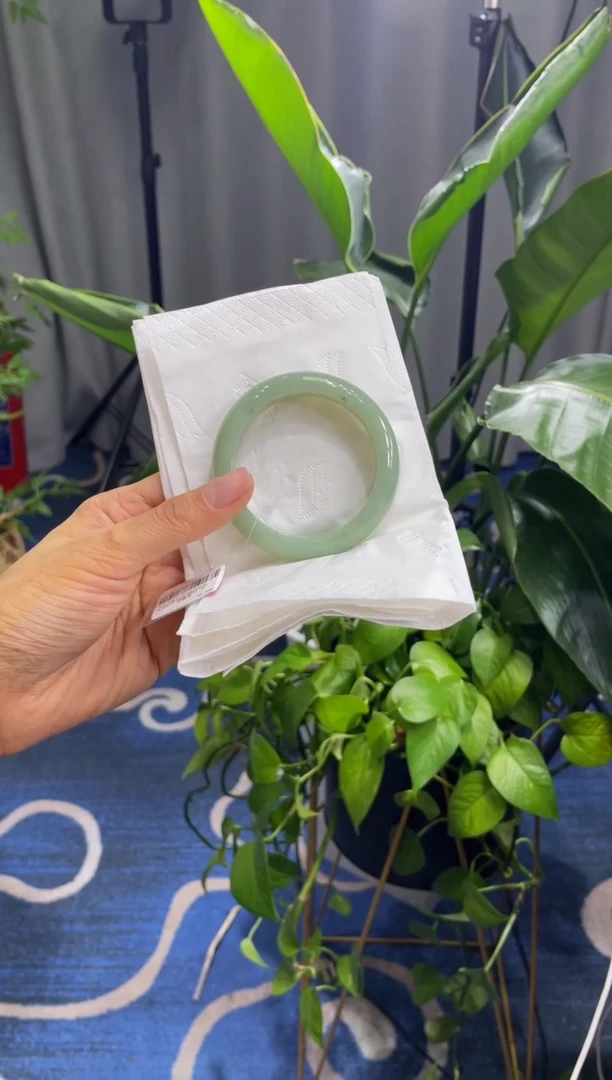 未镶嵌手镯翡翠6356****