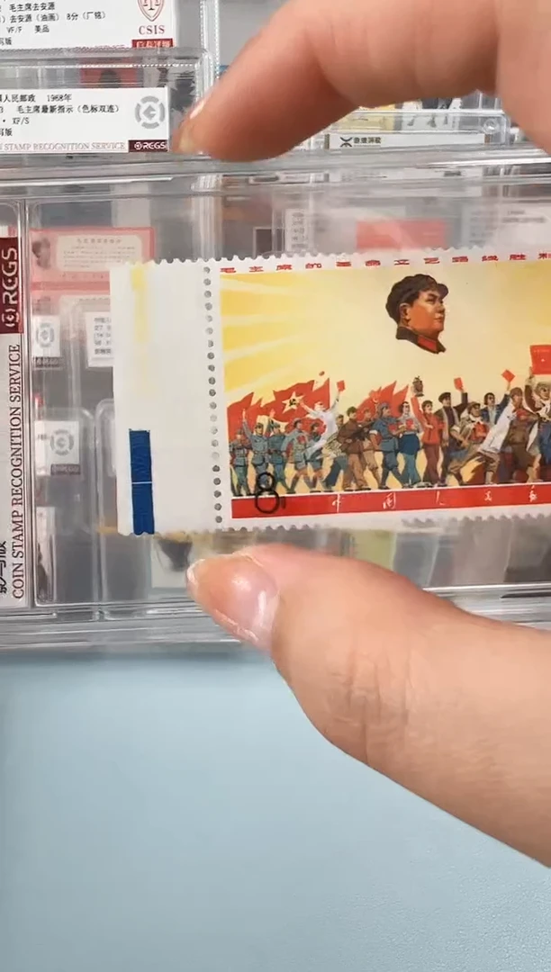 文5单枚游行双色标