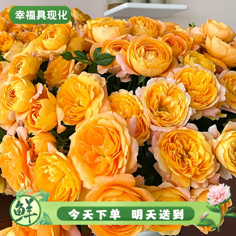 【明日必达】果汁阳台5枝-橙色-生活鲜切花-全场任意俩单京东包邮到家