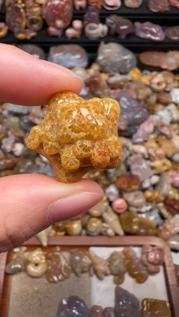 颈饰未镶嵌硅化珊瑚（珊瑚玉）817