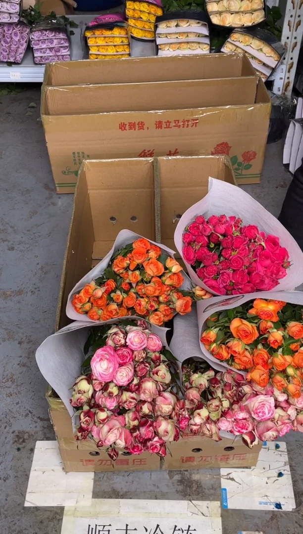 折射10枝+橙色芭比10枝+苏菲10枝