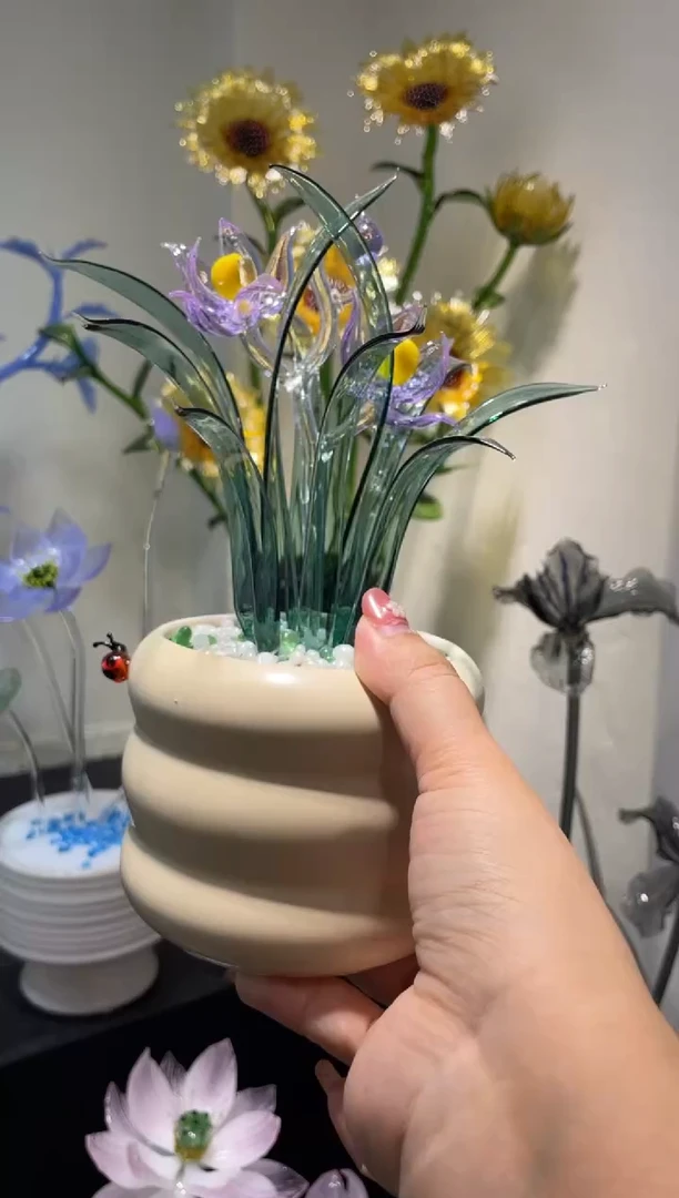 琉璃35兰花