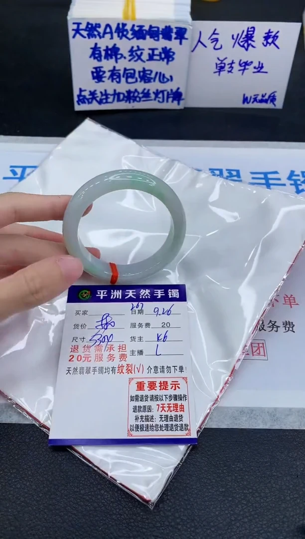 未镶嵌手镯翡翠1