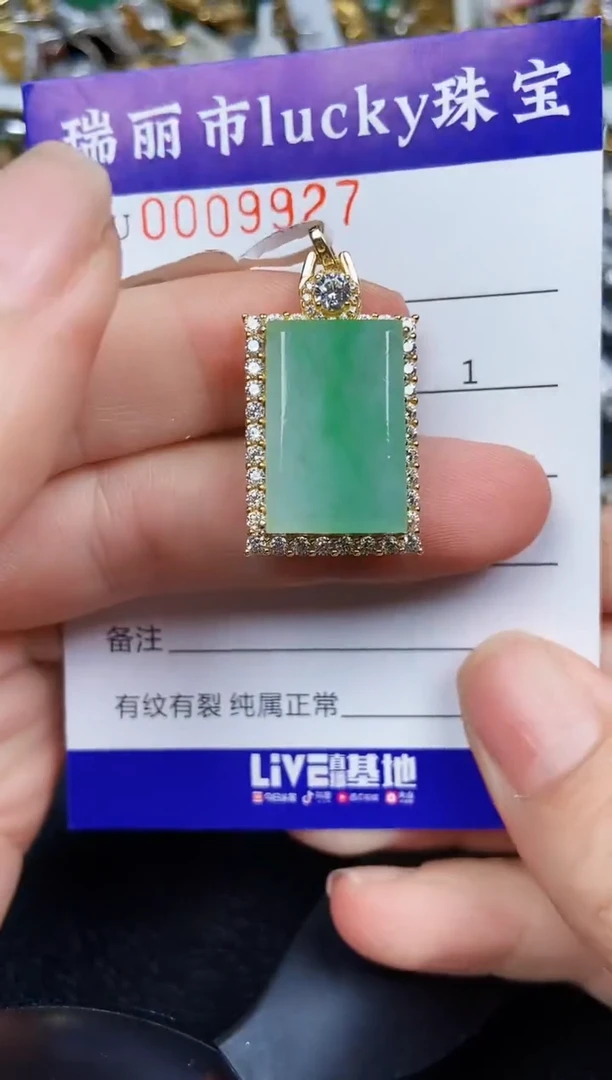 翡翠银S925镶嵌颈饰9927