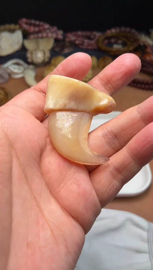 牛骨其他梁杂件210-工艺品牛骨钩子