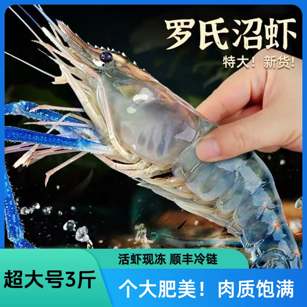 3斤大个头新鲜罗氏虾 一斤10-12只左右 顺丰冷链