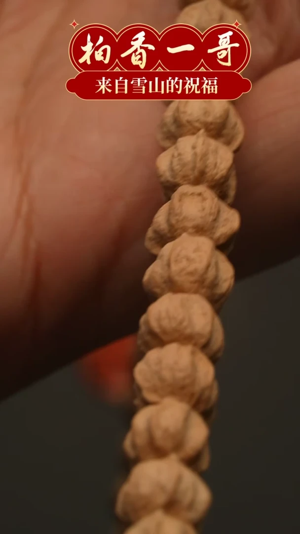 【闪购商品】柏香籽/百香籽吊坠1535