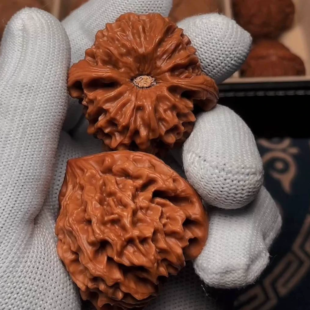 文玩核桃麻核桃直播链接 勿乱拍