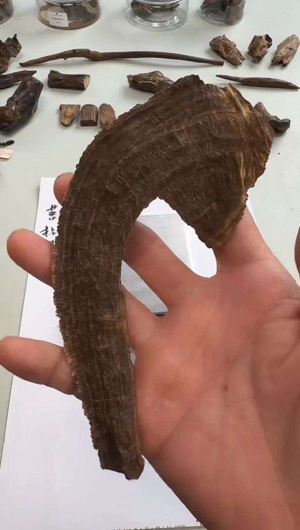 沉香沉香碎屑海南料13.7g