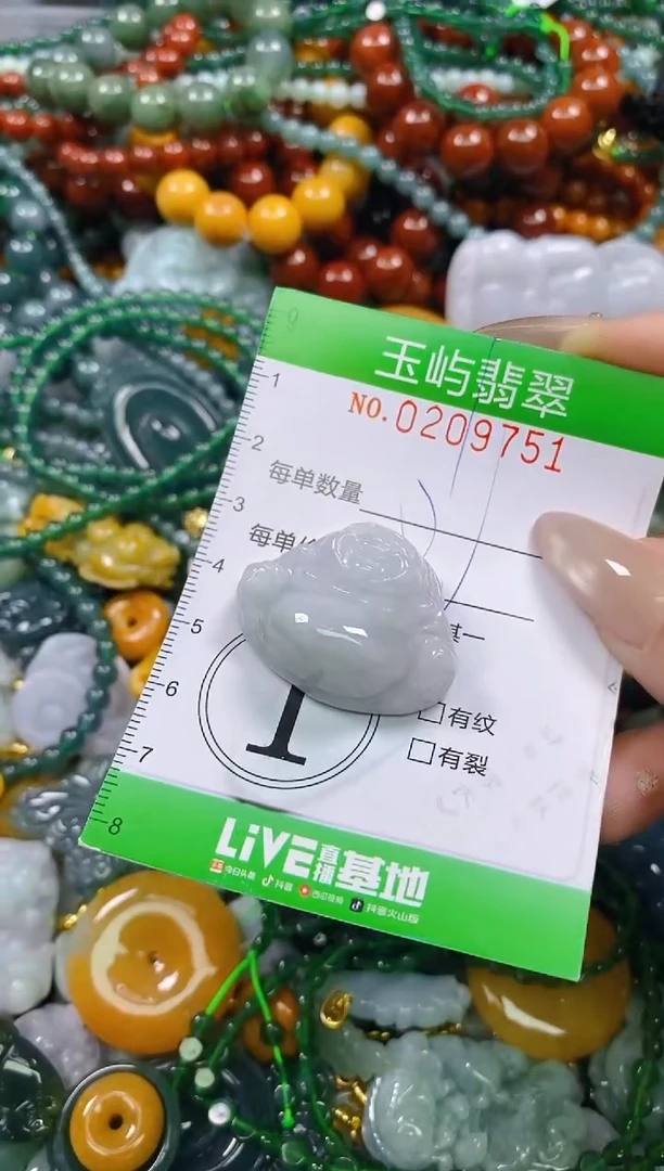 颈饰未镶嵌翡翠闪购0209751