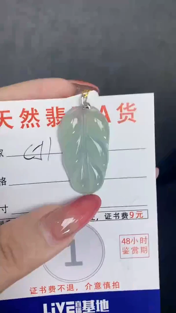 颈饰未镶嵌翡翠天然A货翡翠挂件